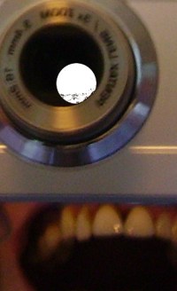 You're Funny, Skull Girl Bella Basura 2015