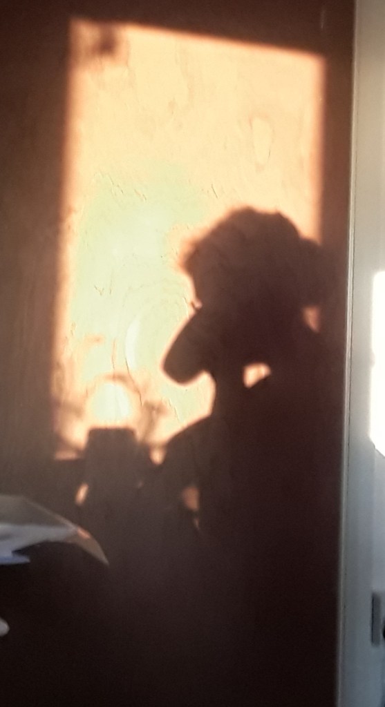 Weird Scenes Inside The Goldmine. Bella Basura 2019.